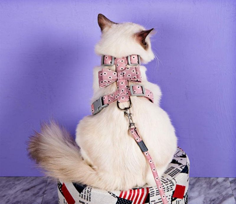Cat Harness with Bow and Reflective Strap Cat Leash Outdoor Walking Safety Buckle Puppy