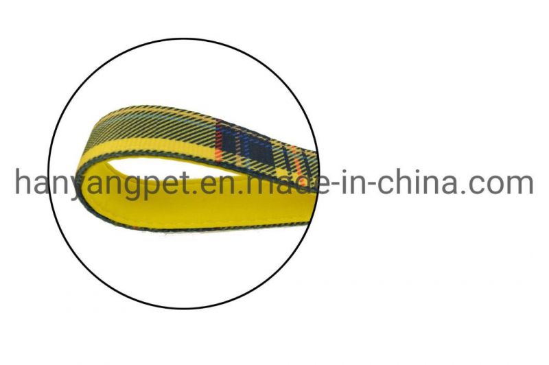 OEM Manufacturer Custom Polyester Webbing Padded Handle Dog Leash