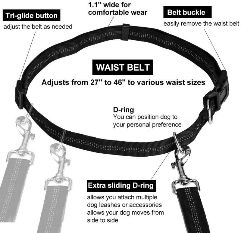 Dual-Handle Reflective Bungee Handsfree Leash