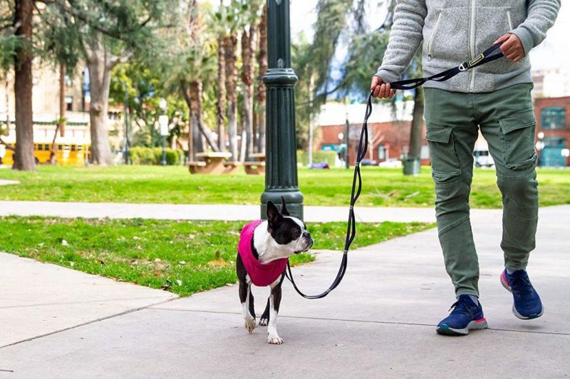 Ultra Light Weight Puffer Dog Jacket