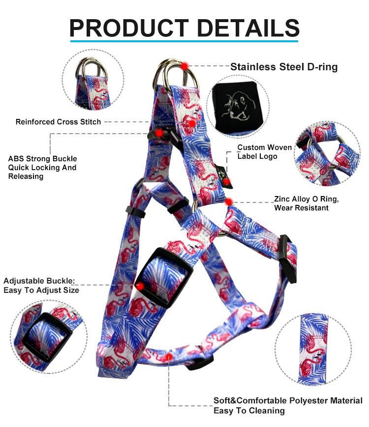 Wholesale Pets Accessories Comfortable Durable Dog Harness and Leash