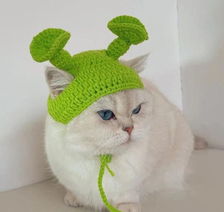 Pet Accessories Clothing Green Shrek Hat Funny Wool Hand Knitted Ruffian Net Red Cat Cute Headgear