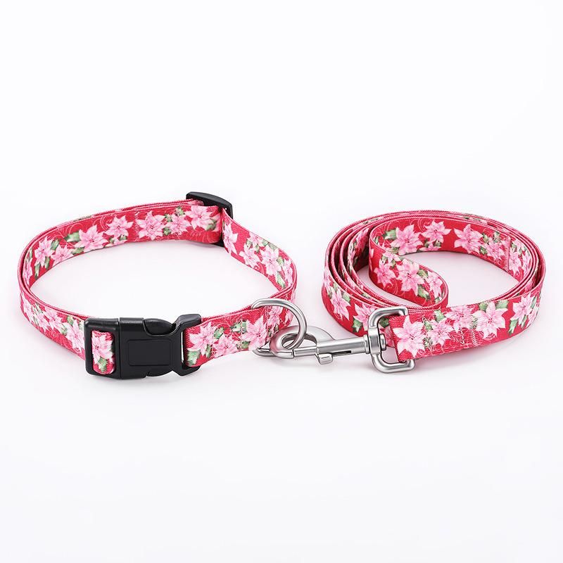 Customizable Logo Pet Dog Leash with Neck Ring Carabiner Hook