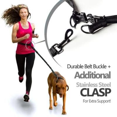 Hands-Free Bungee Dog Leash for Easy Hiking, Biking