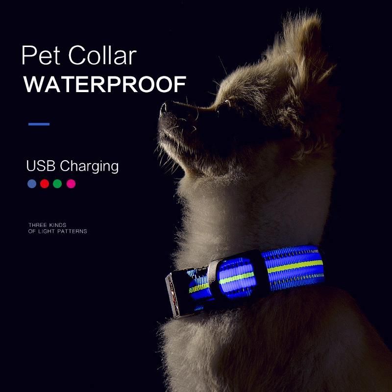 100% Waterproof Reflective Dog Collar Nylon Glowing Collar for Dogs