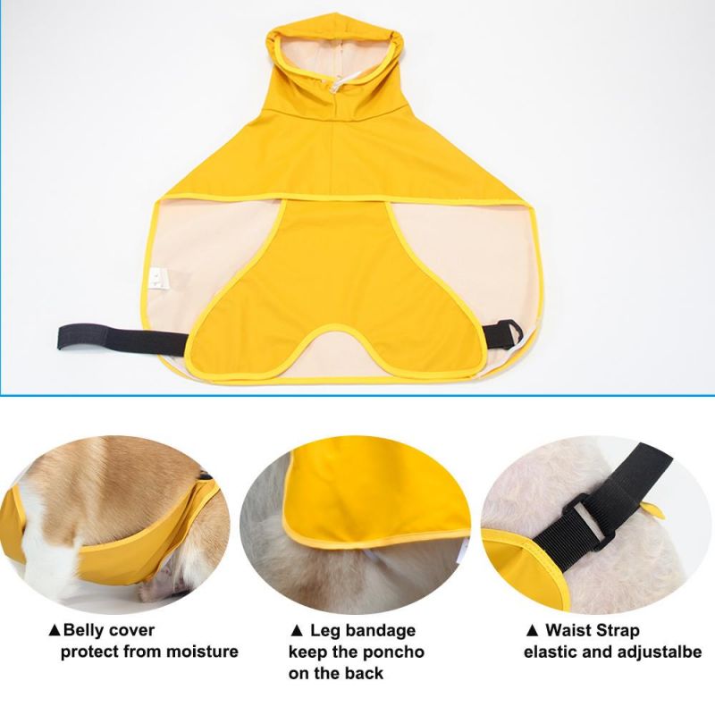 Designer Pet Coat Colorful Warterproof Raincoat Pet Product Dog Product