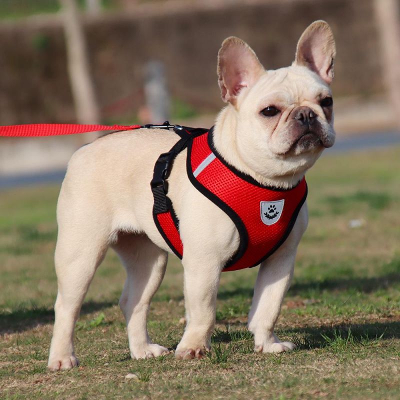 New Design Soft Mesh Fabric Dog Harness Vest Adjustable Reflective Dog Harness with Nylon Leash