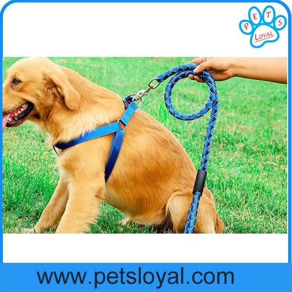 Factory Wholesale Cheap Nylon Pet Leash Dog Harness