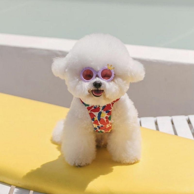 Wholesale High Quality Plastic Flower Toy Sunglasses for Dog and Cats