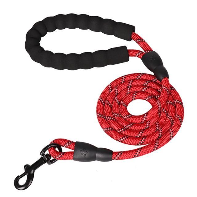 Lovely Design Safety Tool Easy Operation Fashionable Pet Leash