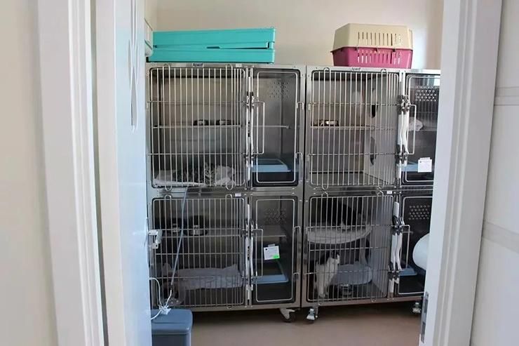 Stainless Steel Veterinary Animal Cages with Wheels