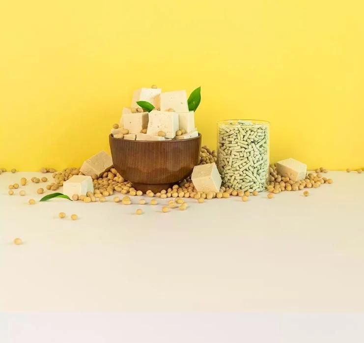 Cat Litter Suppliers Wholesale 6L Plant Degradable Tofu Litter 5 Flavors for Select Tofu Cat Litter