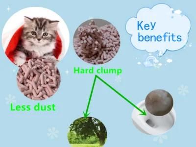 Peach Tofu Cat Litter with Hard Clump and Odor Control