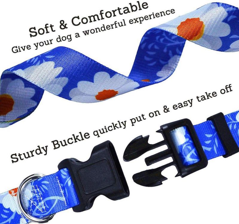 Unique Design Custom Pattern Dog Collar Leash