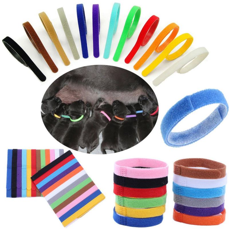 12 Colors Identification ID Collars Band Pet Cat Velvet Practical Puppy ID Collar
