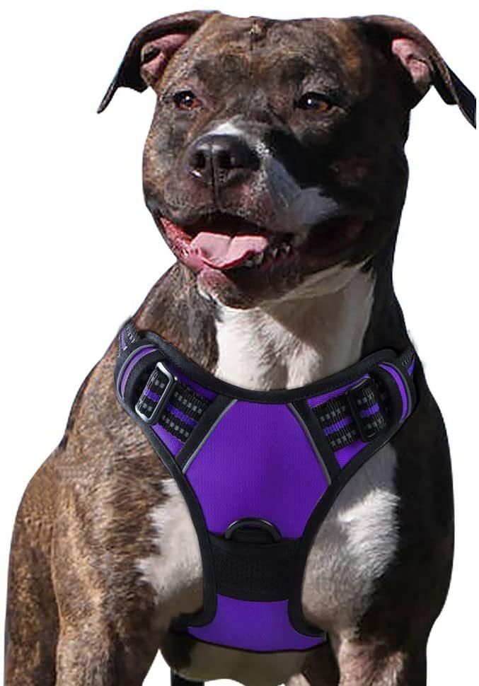Custom Reflective No Pull Pet Dog Harness Breathable and Adjustable Pet Vest