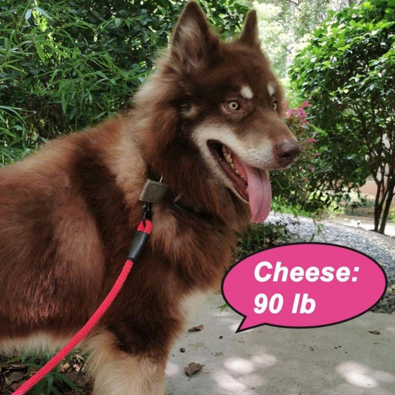 Fashion Colors with Bright Individuality Rope Dog Leash