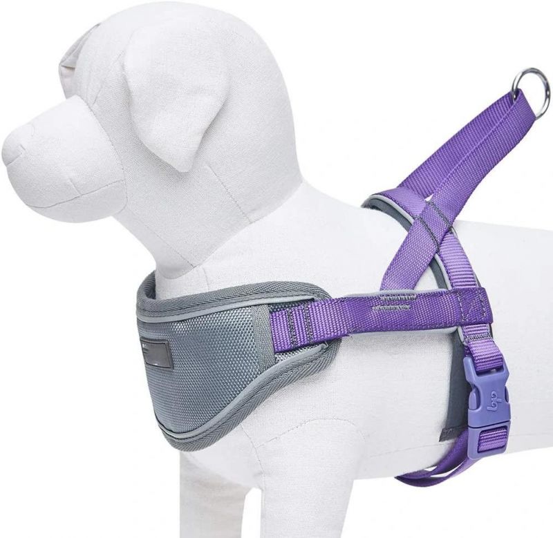 Soft and Comfortable Neoprene Padded Chest Plate Dog Harness