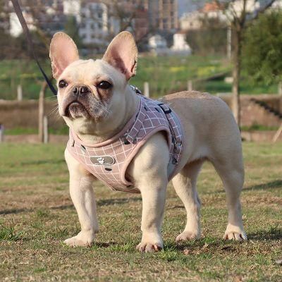 Hot Selling OEM Pet Harnesses New Design Lattice Cotton Dog Harness