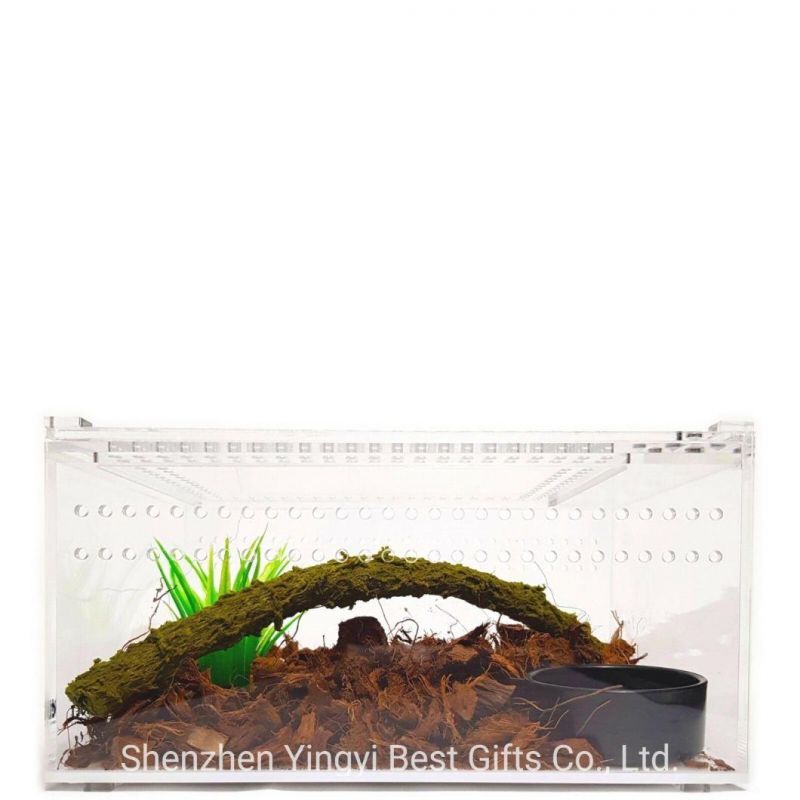 Wholesale Clear Acrylic Reptile Terrarium with Air Hole