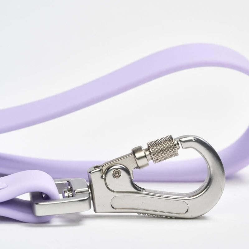 Custom Logo Designer Dog Leash Waterproof Colorful PVC Dog Leash Dog Collar and Leash Set