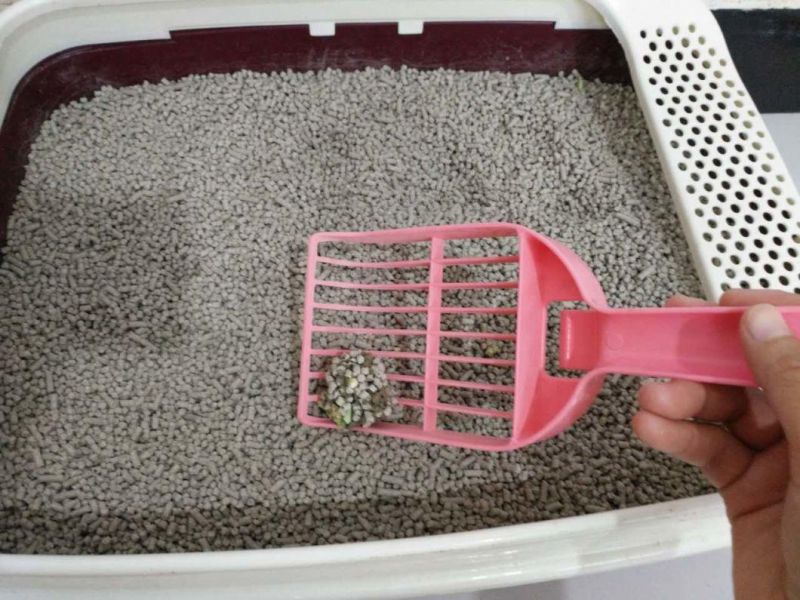 Toilet Flushing Tofu Cat Litter