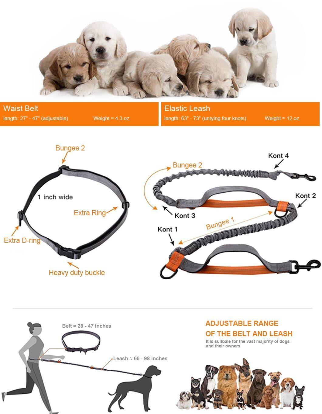 Pet Supply High Quality Retractable Dog Pet Collar Leash Reflective Pet Dog Running Leash