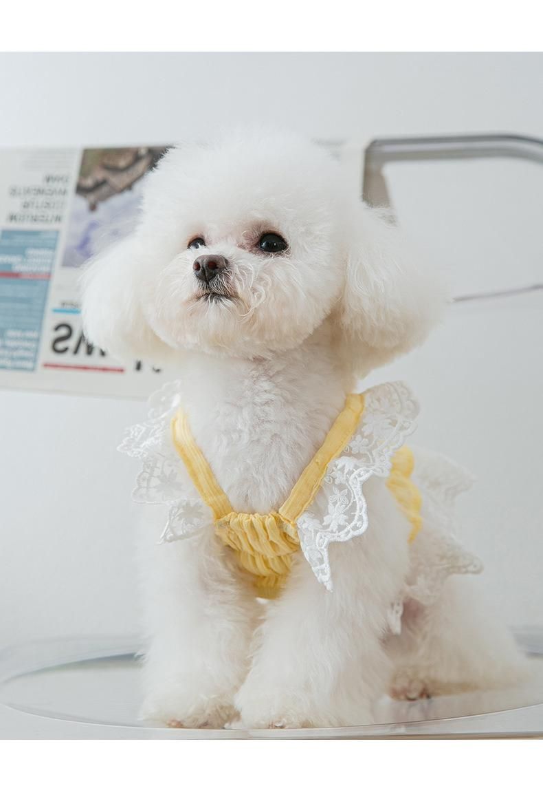 New Fashion Spring Summer Puppy Dog Lace Princess Skirt Breathable Chiffon Cat Suspender Skirt Small Dog Pet Clothes