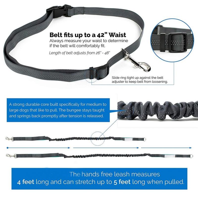 Stretchy Bungee Dog Leash Hands Free Running Leash for Dogs Petsmart