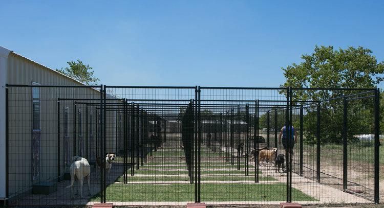 Heavy Duty Custom Indoor / Outdoor Dog Boarding Kennels.