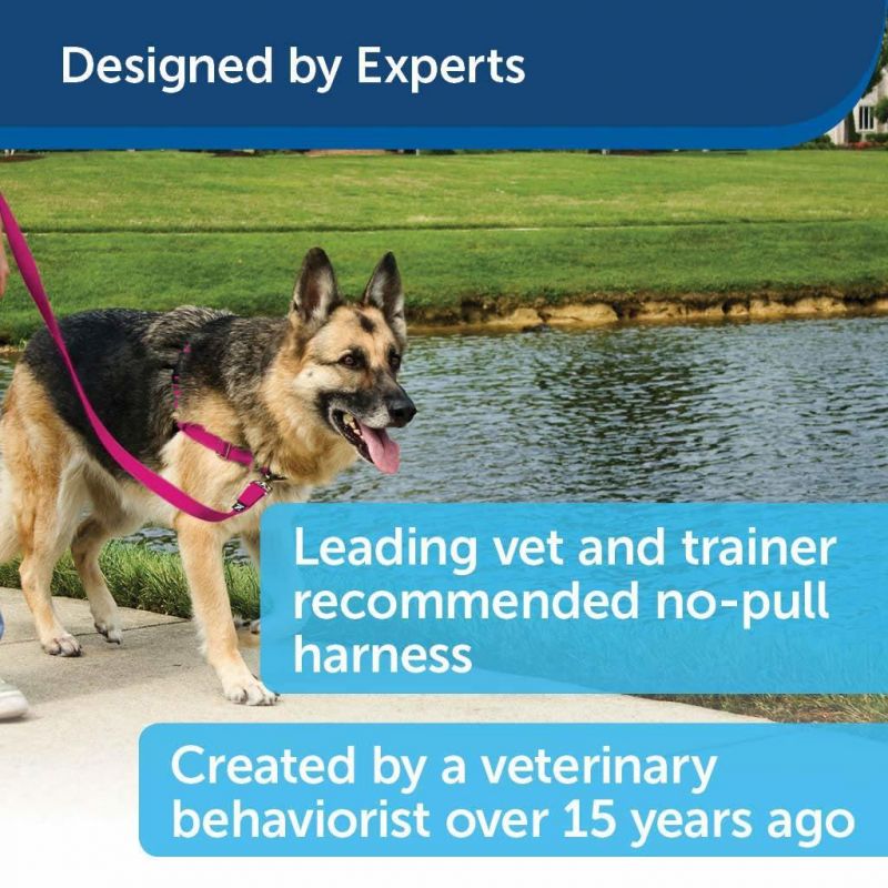 Training Dog Harness of Dual Color Straps Two Quick-Snap Buckles Easy on&off