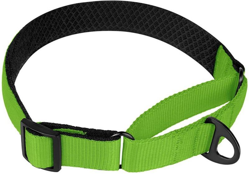 Durable Multiple Colors Dog Collar with Padded Neoprene