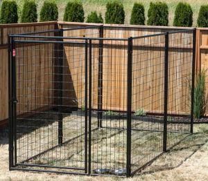 Outdoor Powdering Coated Weld Wire Mesh Dog Kennel