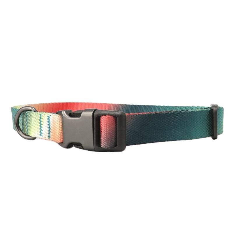 Custom Size Eco-Friendly Fashion Nylon Material Dog Collars