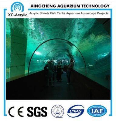Acrylic Material Curved Acrylic Sheet Aquarium Project