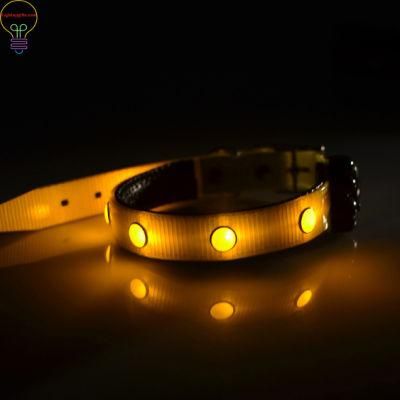 LED Light-up Jewel Pet Collar