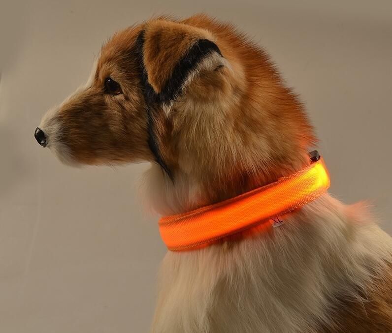 Nylon Luminous Fluorescent Collars Pet Supplies Dog Collar Pet Products
