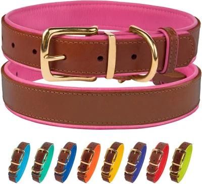 Strong Durable Leather Dog Collar with Soft Padding