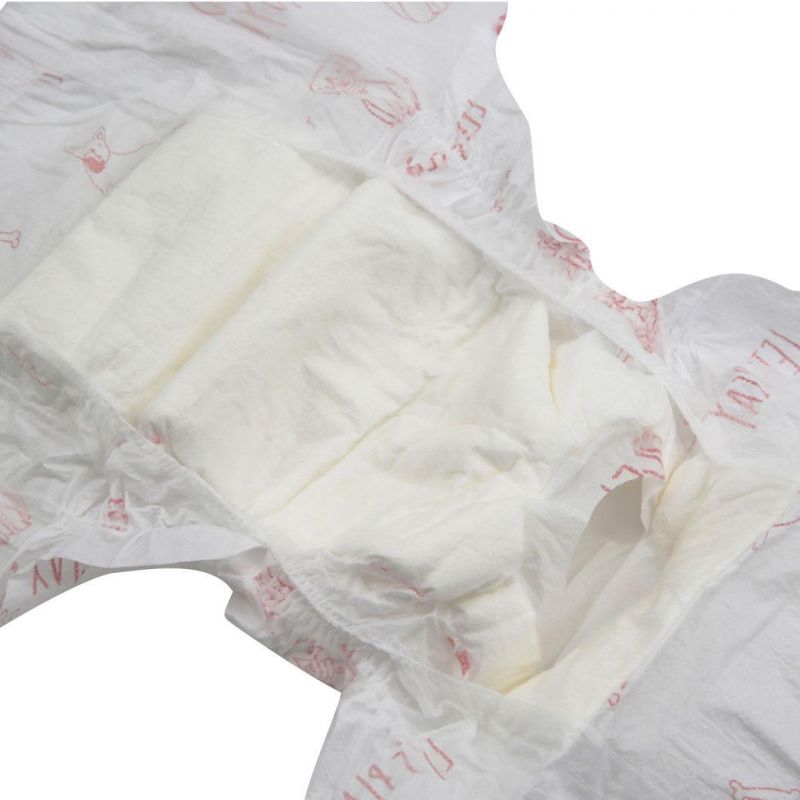 Female Dog Diaper Pet Supplies Pet Diapers New Products Looking for Distributor Disposable High Absorbent Cute