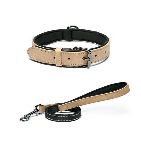 Light Reflective Fashion Collar and Leash for Pet Dog