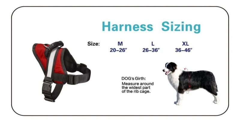 Outdoor Adventure Rubber Handle Dog Harness for Easy Control
