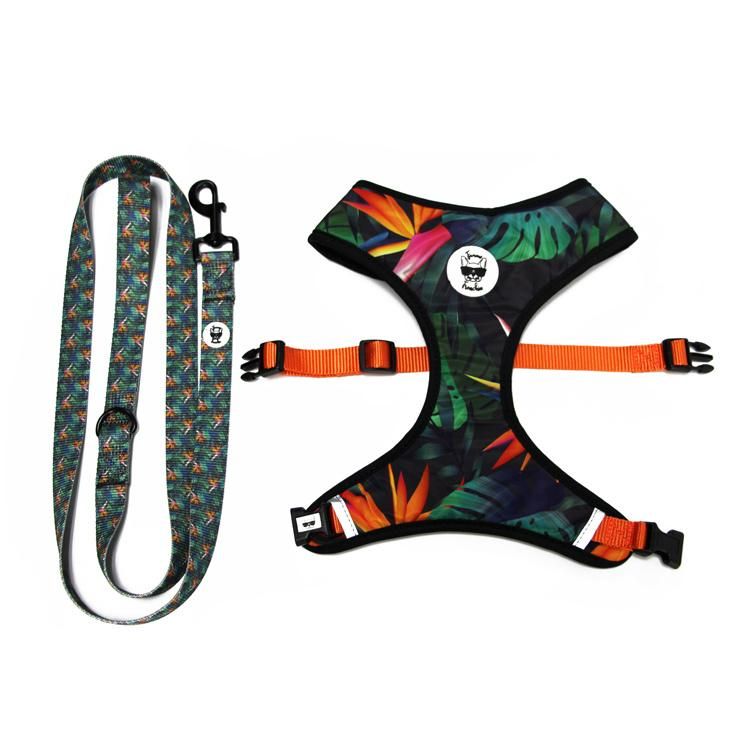Fashion Pet Supplies Wholesale Collars Leashes Ins Hot Sale Cat Collar Leash Breathable Mesh Dog Harness