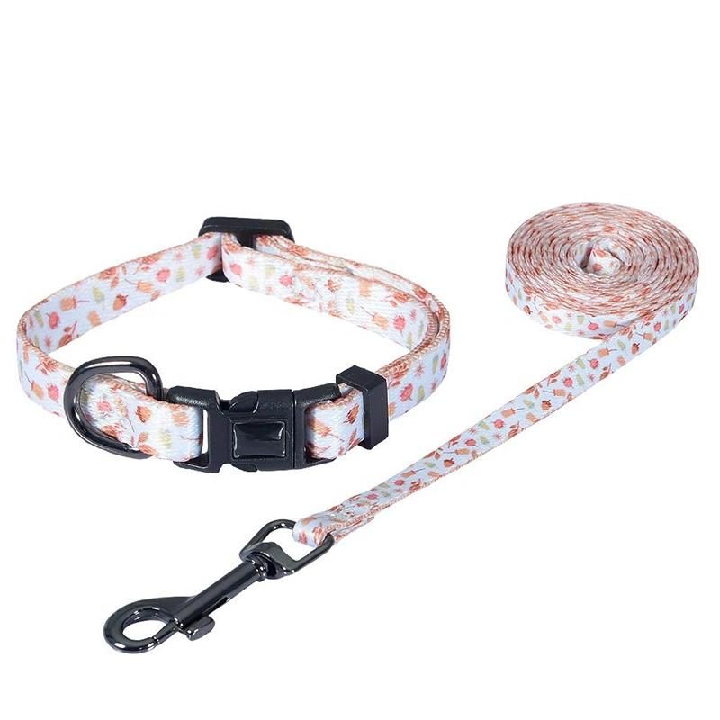 Customized Wholesale Pet Product Polyester Durable Personalized Training Dog Leash Collar