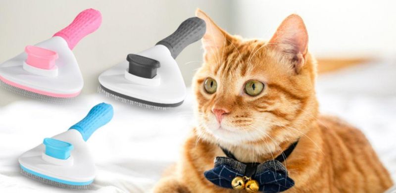 Cat/Dog Brush for Pet Massage-Self Cleaning, Anti Slip Handle, One Bottom Hair Removal