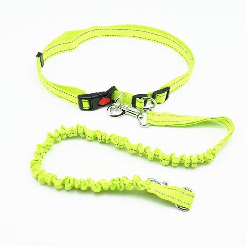 Retractable Nylon Hands Free Waist Dog Leash with Dual Bungees for Hiking Jogging Running