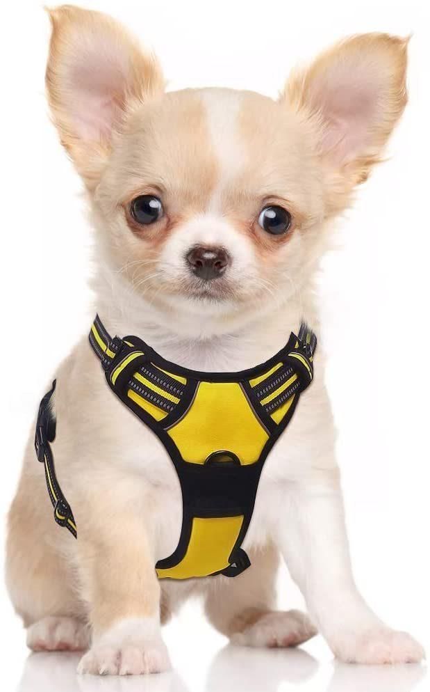 Safe and Comfortable Rflective Dog Harness Amazon Best Seller