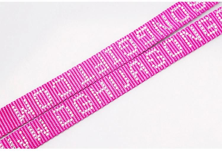 Custom Nylon Service Custom Print Logo Rope Dog Leash Webbing