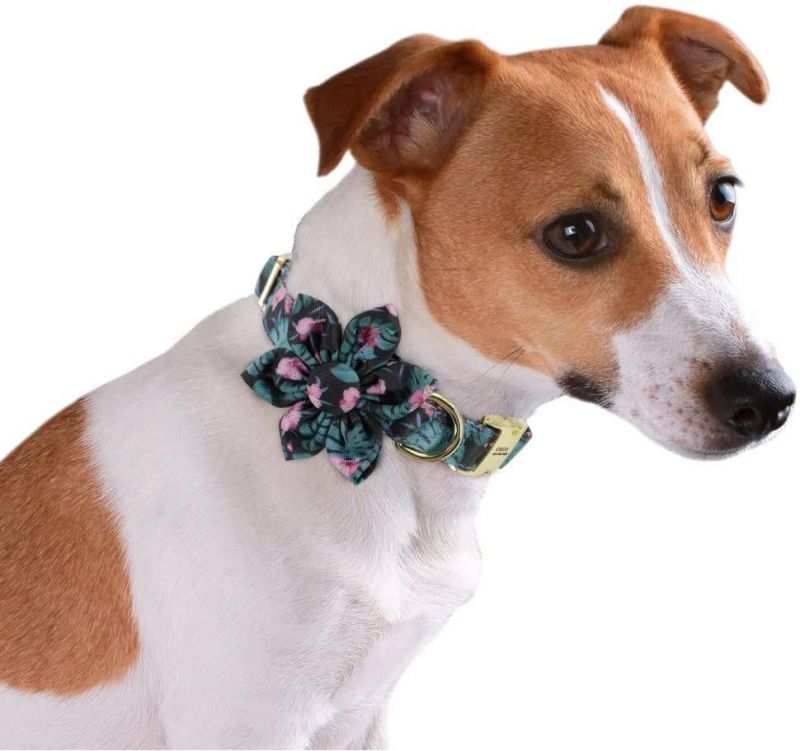 Custom Floral Pattern Engraved Pet Collars