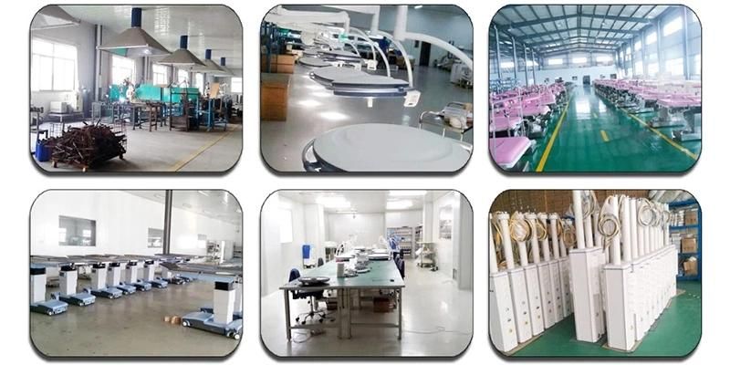 Factory Price Pet Grooming Products Dog SPA Machine Dog Bathtub for OEM