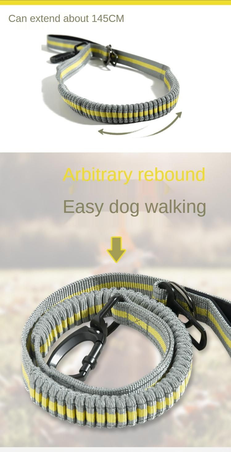 Outdoor Fluorescent Elastic Pet Explosion-Proof Leash for Medium and Large Dogs